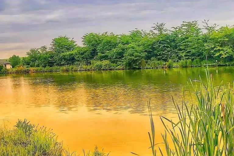 Photo of Aladdin Lakes