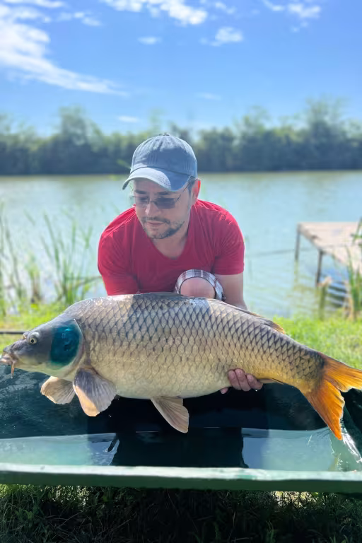 Photo of Aladdin Lakes