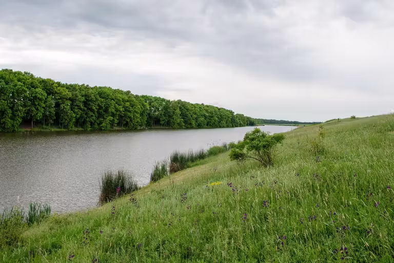 Balta Cămineasca photo 2