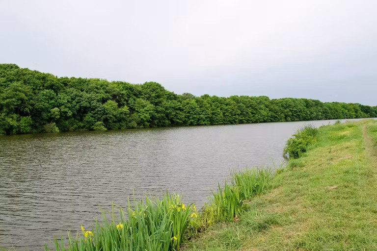 Photo of Balta Cămineasca
