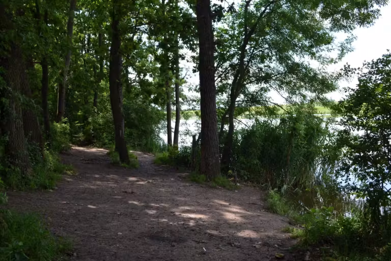 Photo of Balta Cămineasca