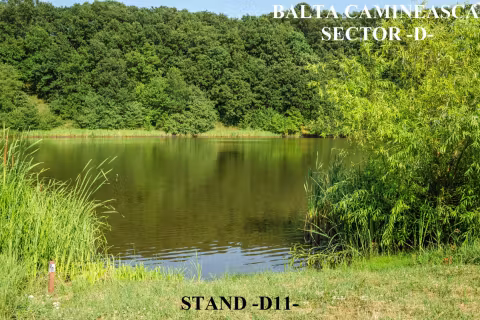 Stand D11