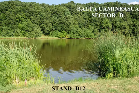 Stand D12