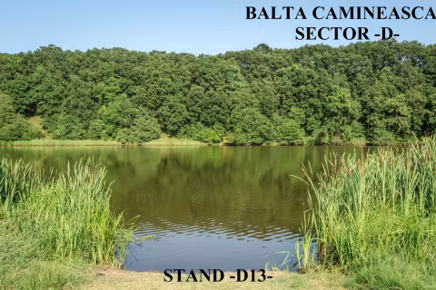 Stand D13