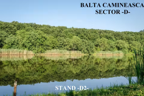 Stand D2