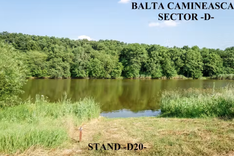 Stand D20