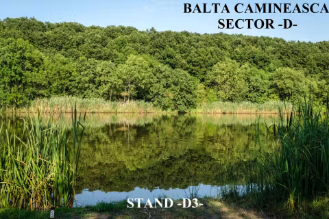 Stand D3