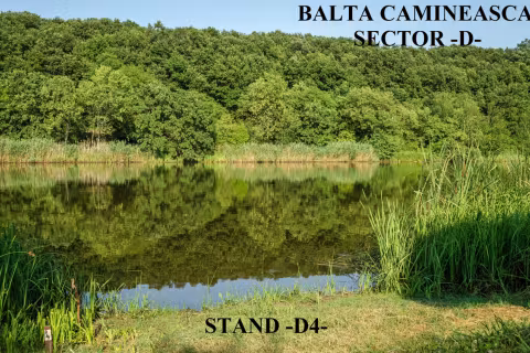 Stand D4