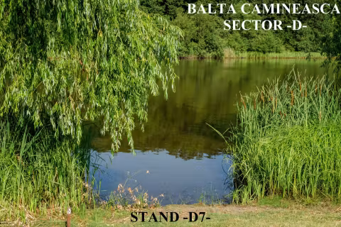 Stand D7