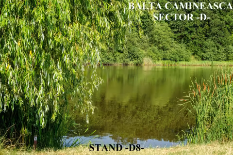Stand D8