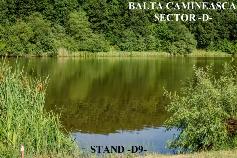 Stand D9