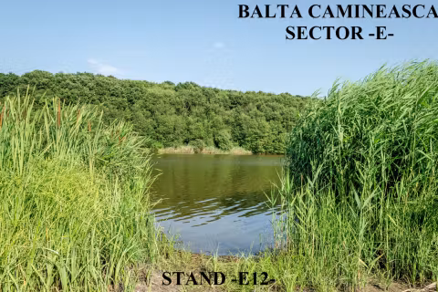 Stand E12