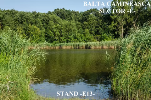 Stand E13