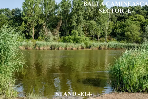 Stand E14