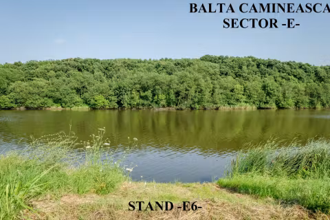 Stand E6