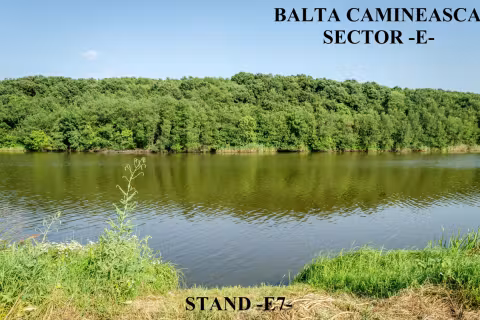 Stand E7