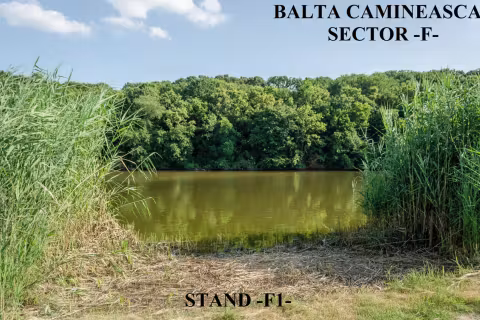 Stand F1