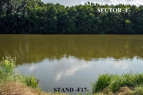 Stand F17