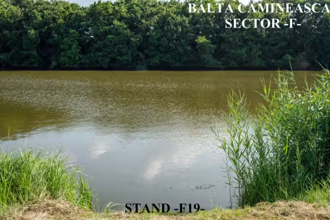 Stand F19