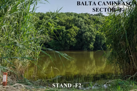 Stand F2