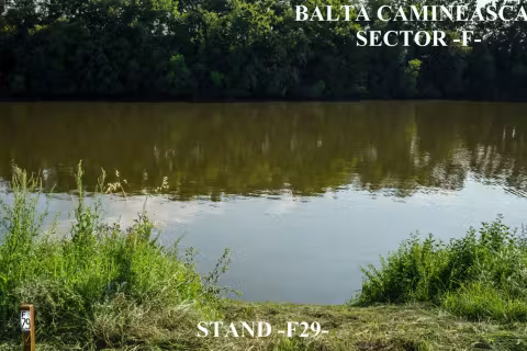 Stand F29