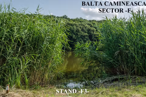 Stand F3