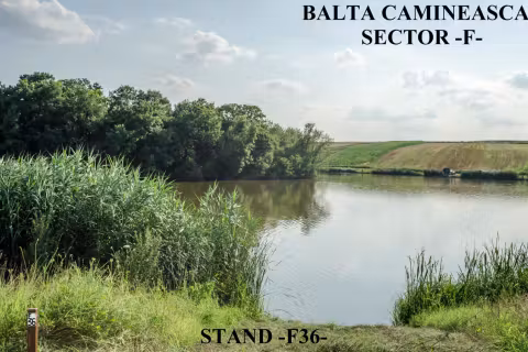 Stand F36