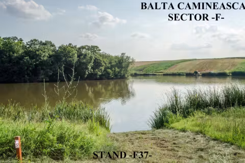 Stand F37