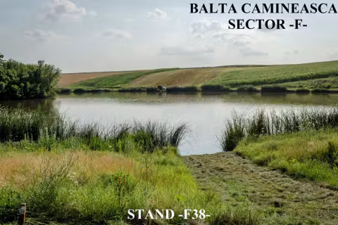 Stand F38