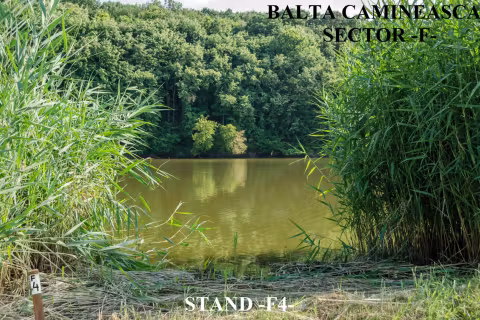 Stand F4