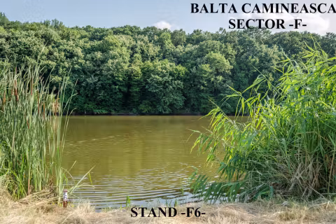 Stand F6