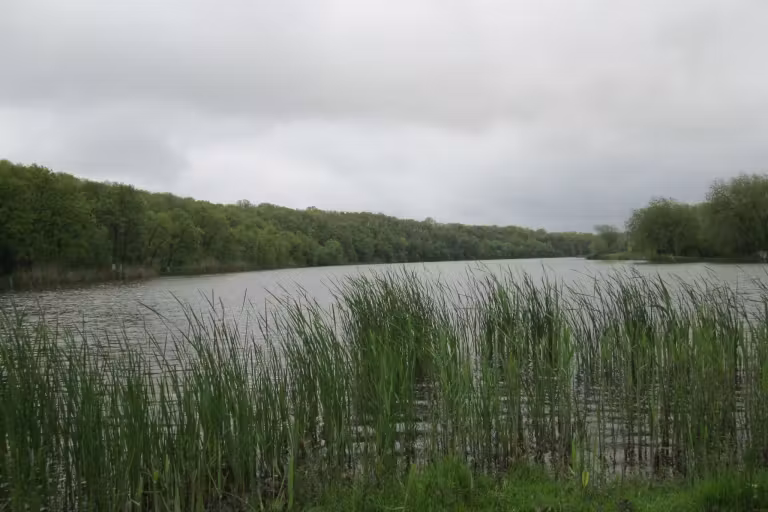 Photo of Balta Cămineasca