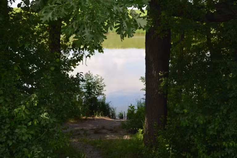 Photo of Balta Cămineasca