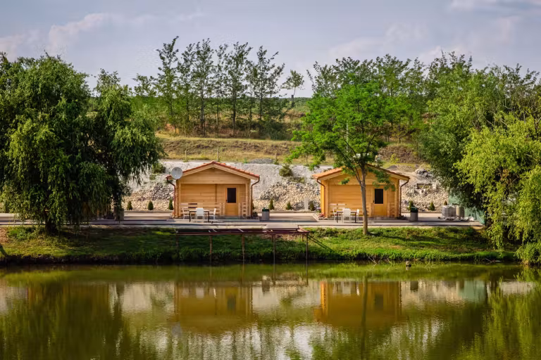 Balta Gruiu photo 6