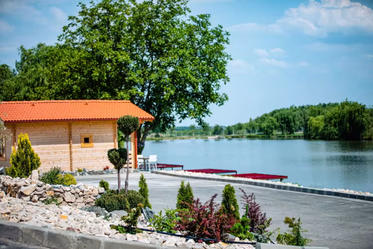 Balta Gruiu photo 9