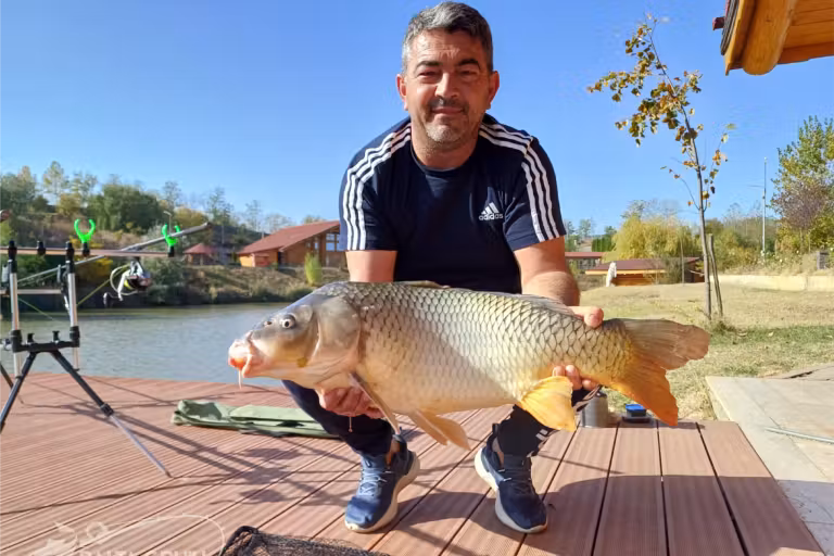 Photo of Balta Gruiu