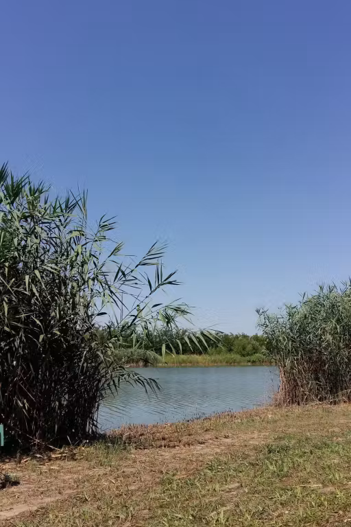 Balta Nemți 1 photo 5