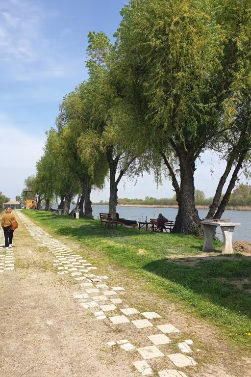 Balta Zătun