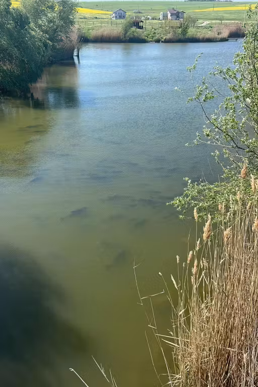 Photo of Canalul Vechi Medgidia