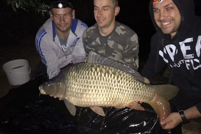 Fotografie de la Ferma de Crap Diosig