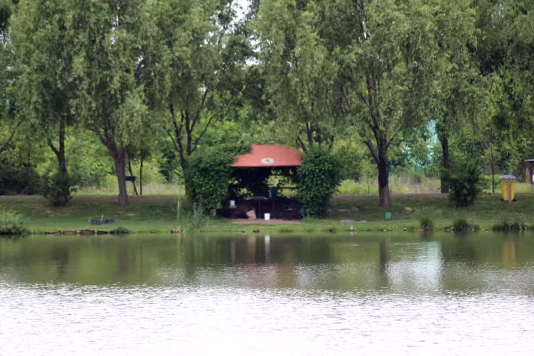 Floarea Popeștiului photo 5