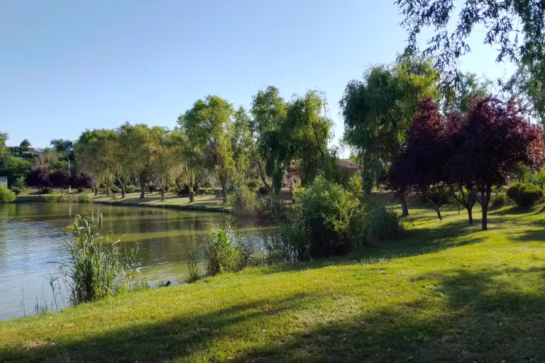Floarea Popeștiului