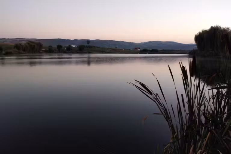 Green Paradise photo 10
