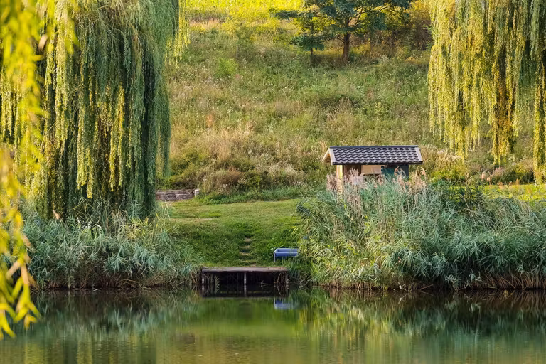Green Paradise photo 8