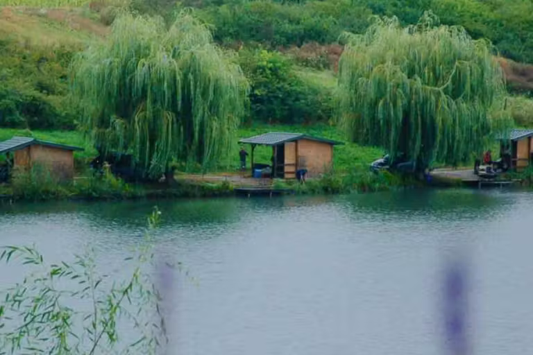 Green Paradise photo 3