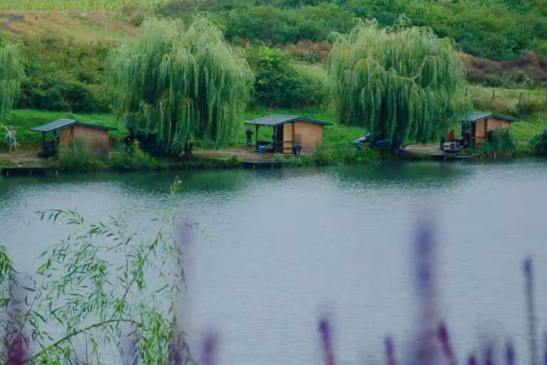 Green Paradise photo 4