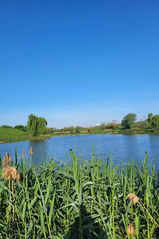 Green Paradise photo 5