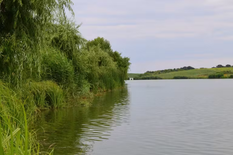 Fotografie de la Iazul Bila 2