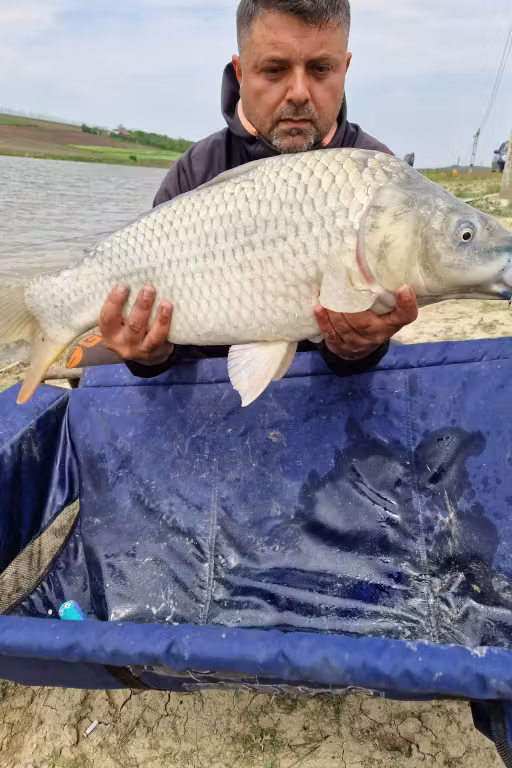 Fotografie de la Iazul Botez