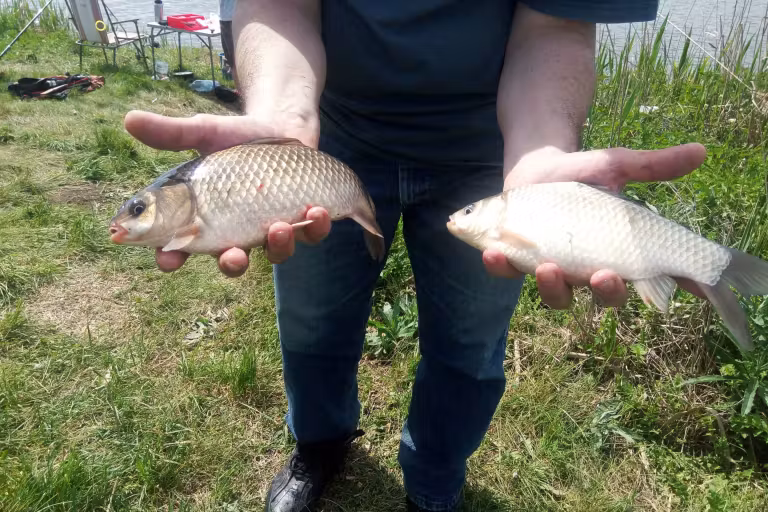 Fotografie de la Lacul Boteni 1